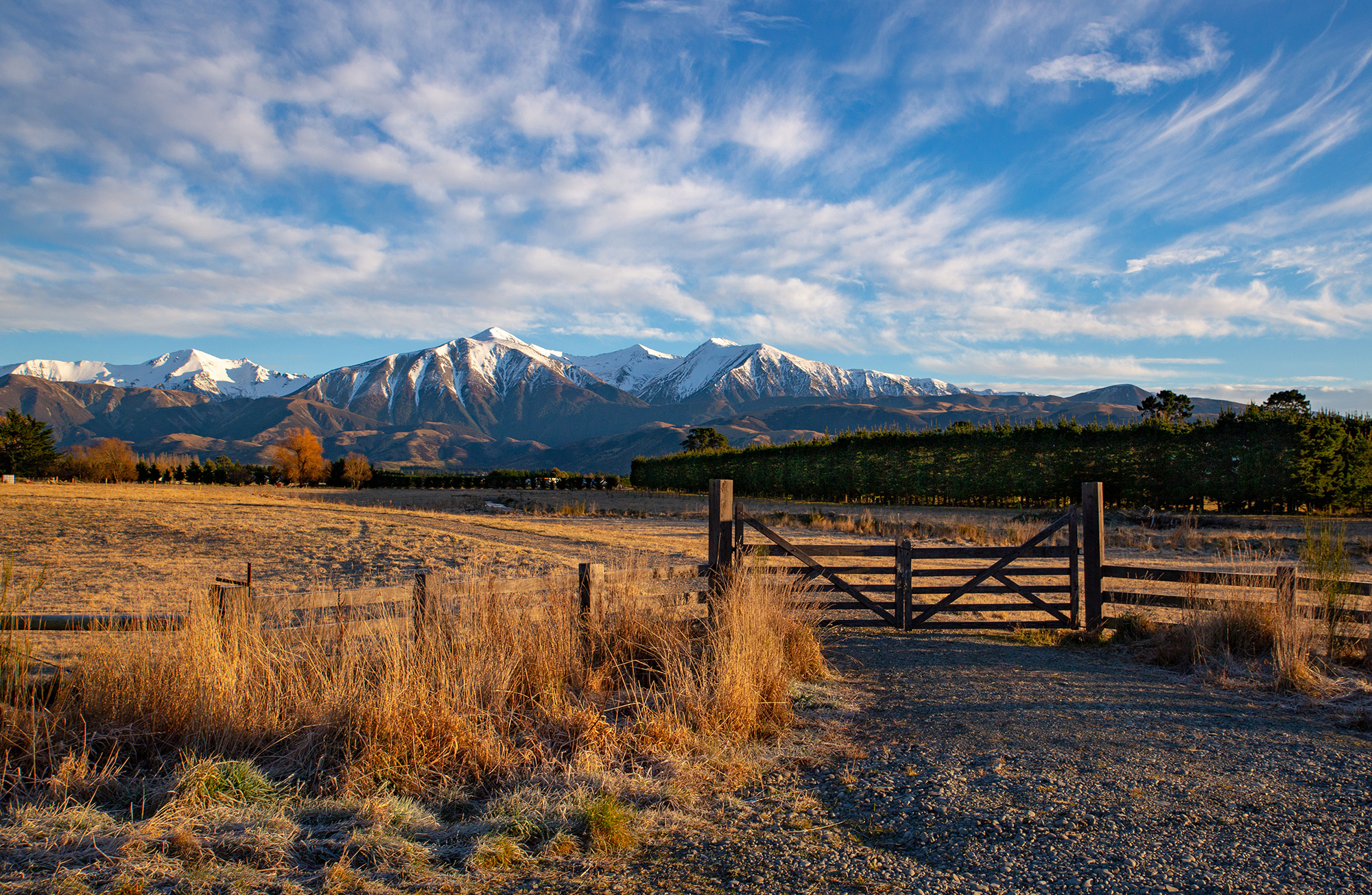 NZ Rural Security