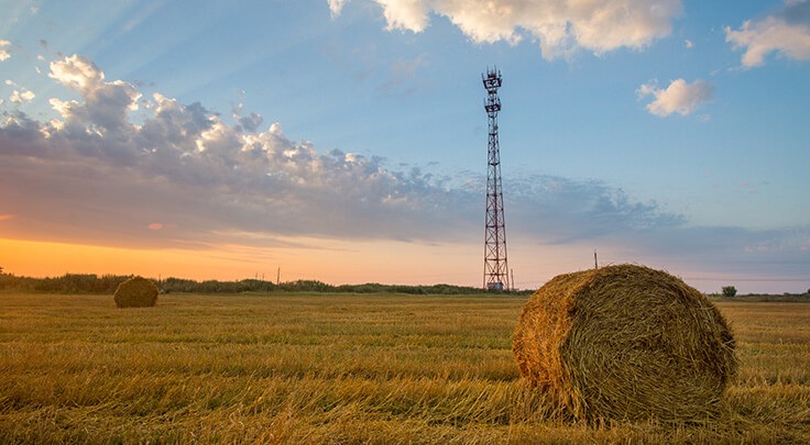 Rural