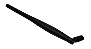 ANT-19
