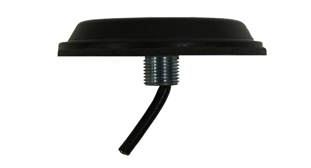 ANT-275