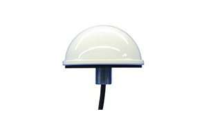 ANT-37