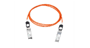 FPL-SFP-10G-1