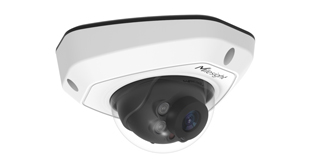MS-C8173-PD