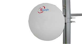 SLG0605SS